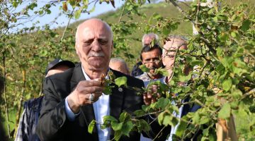 BAYRAKTAR AKÇAKOCA’DA ZARAR GÖREN BAHÇELERİ İNCELEDİ!